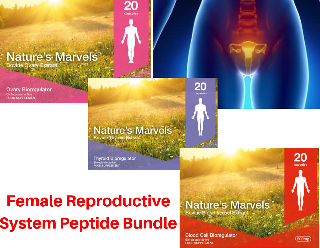 Female reproductive system Peptide Bundle- A-15 Zhenoluten A-2 Thyreogen A-3 Ventfort
