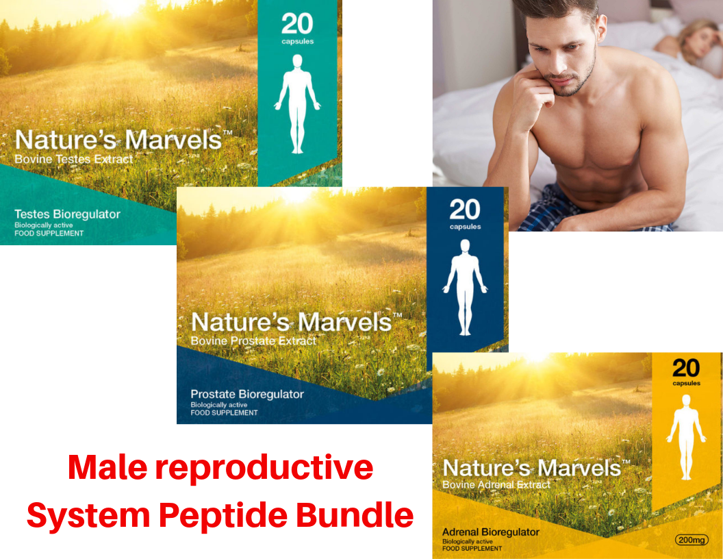 Male reproductive system Peptide Bundle - A-13 Testoluten A-16 Libidon A-17 Glandokort